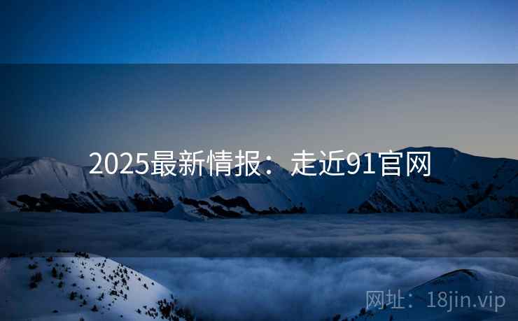 2025最新情报：走近91官网