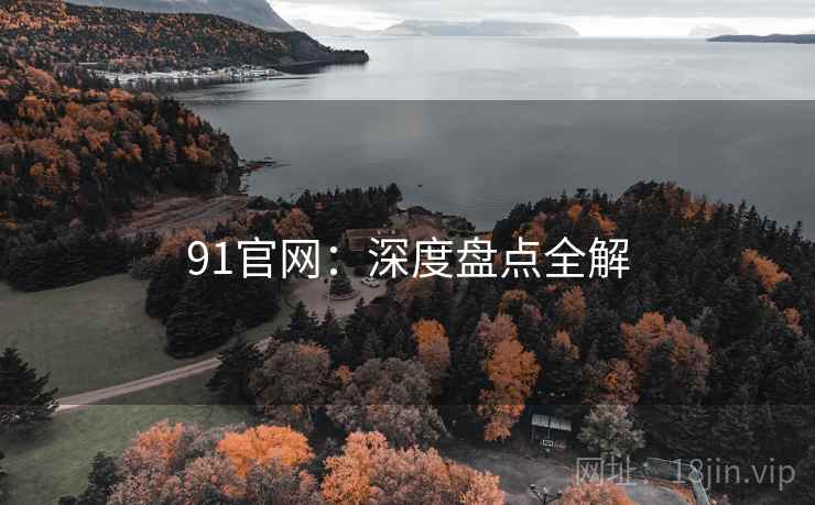 91官网：深度盘点全解