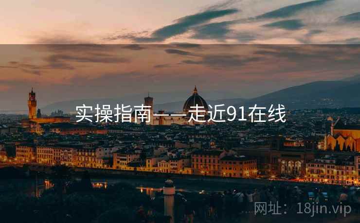 实操指南——走近91在线