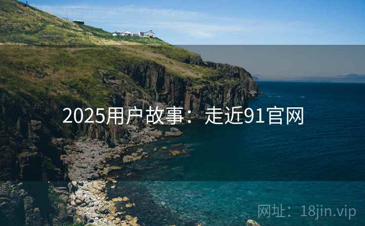 2025用户故事：走近91官网