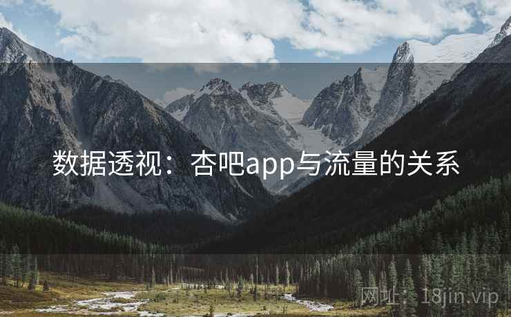 数据透视：杏吧app与流量的关系