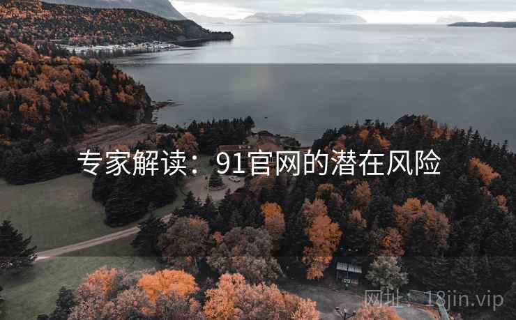 专家解读：91官网的潜在风险