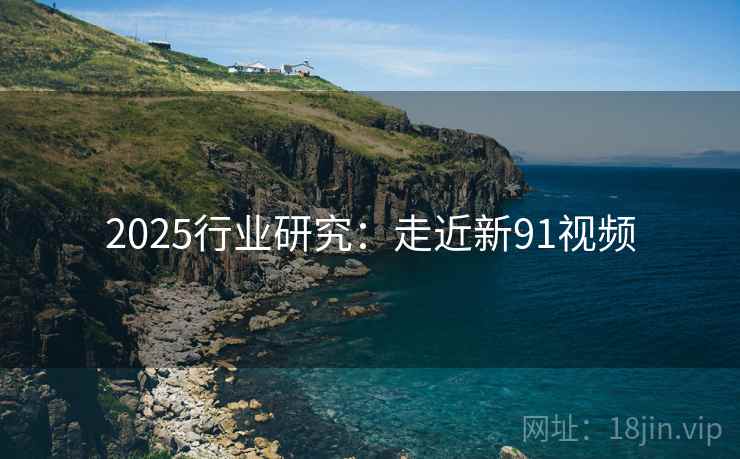 2025行业研究：走近新91视频