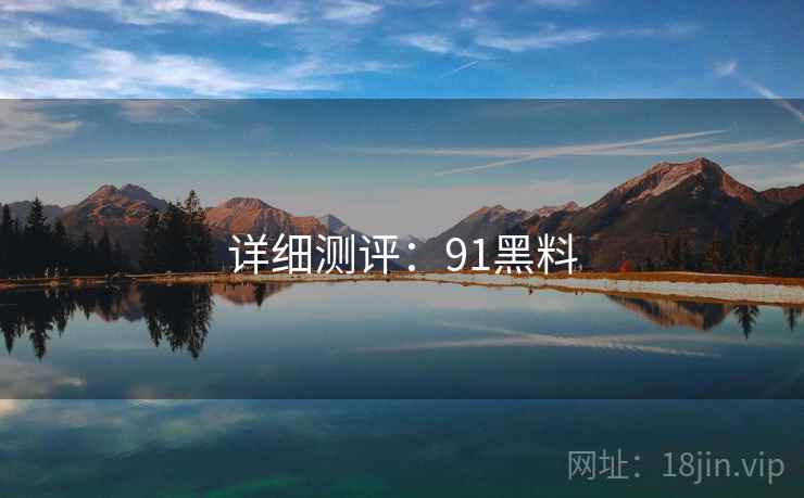 详细测评：91黑料
