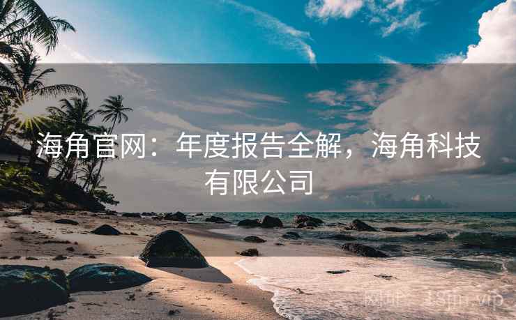 海角官网：年度报告全解，海角科技有限公司