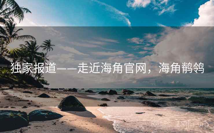 独家报道——走近海角官网，海角鹡鸰
