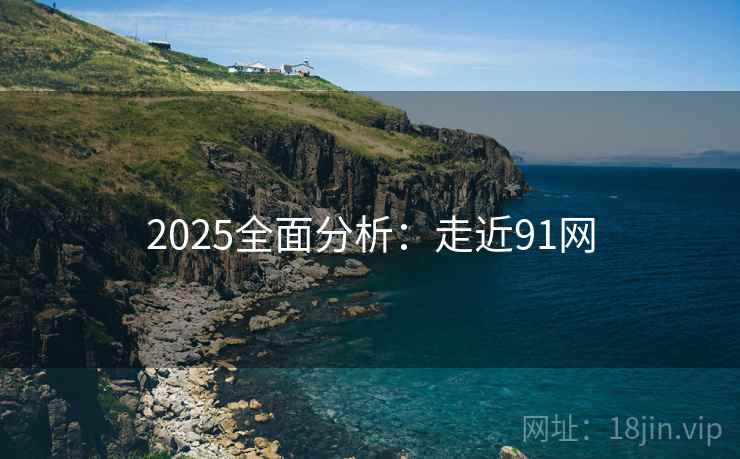 2025全面分析：走近91网